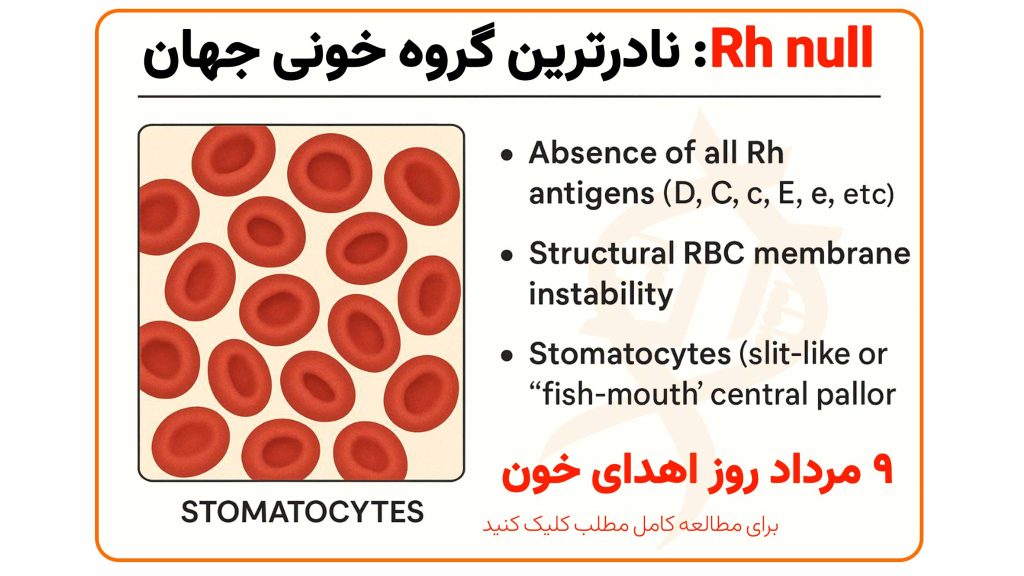 تصویر نمادین گروه خونی Rh null، نادرترین گروه خونی جهان