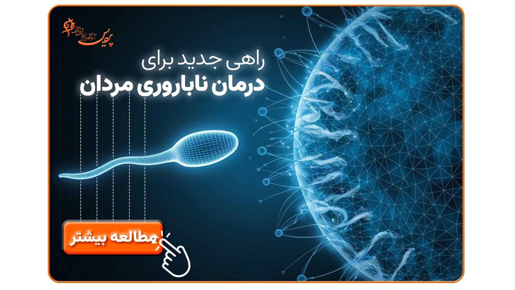 درمان ناباروری مردان با سلول‌های بنیادی اسپرماتوگونیال و تحلیل ژنتیکی – پژوهش دانشگاه کالیفرنیا