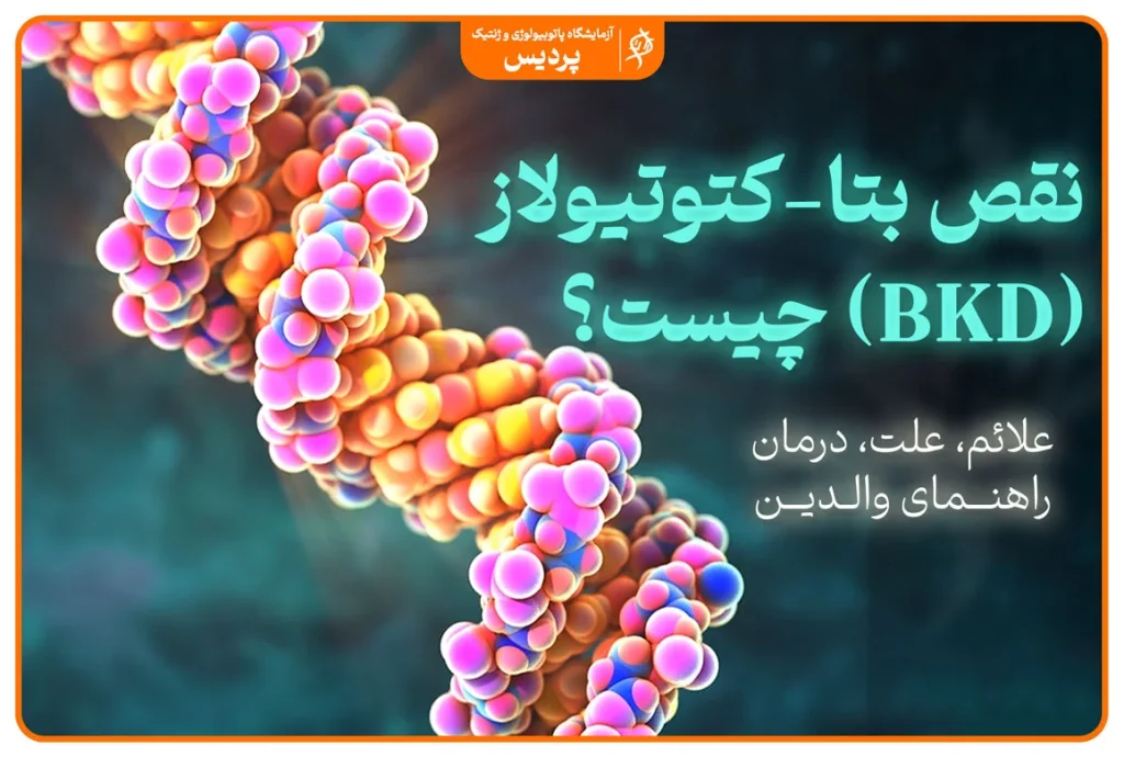نقص بتا کتوتیولاز BKD بیماری متابولیک ارثی اختلال در تجزیه ایزولوسین و بحران متابولیکی