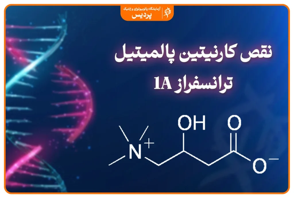 نقص کارنیتین پالمیتیل ترانسفراز نوع 1A CPT-1A و اختلال اکسیداسیون اسیدهای چرب
