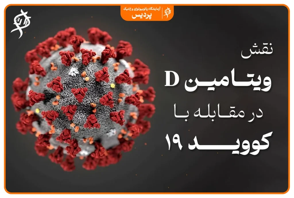 تصویر مفهومی ویتامین D، ویروس کرونا و سلول‌های ایمنی بدن که ارتباط سطح مناسب ویتامین D با کاهش عوارض کووید ۱۹ و بهبود پاسخ ایمنی را نمایش می‌دهد.