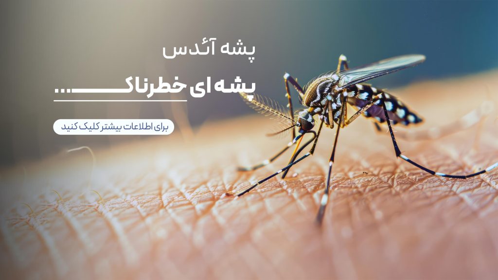 پشه-آئدس
