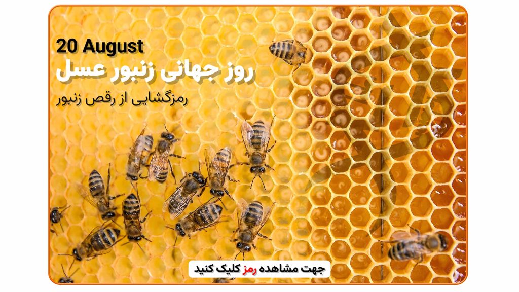 رقص زنبورهای عسل برای اطلاع‌رسانی درباره مکان غذا – روز جهانی زنبور عسل