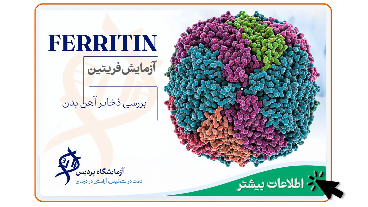 ISO 15189 audit in Pardis Laboratories, Mashhad – laboratory quality and compliance check.